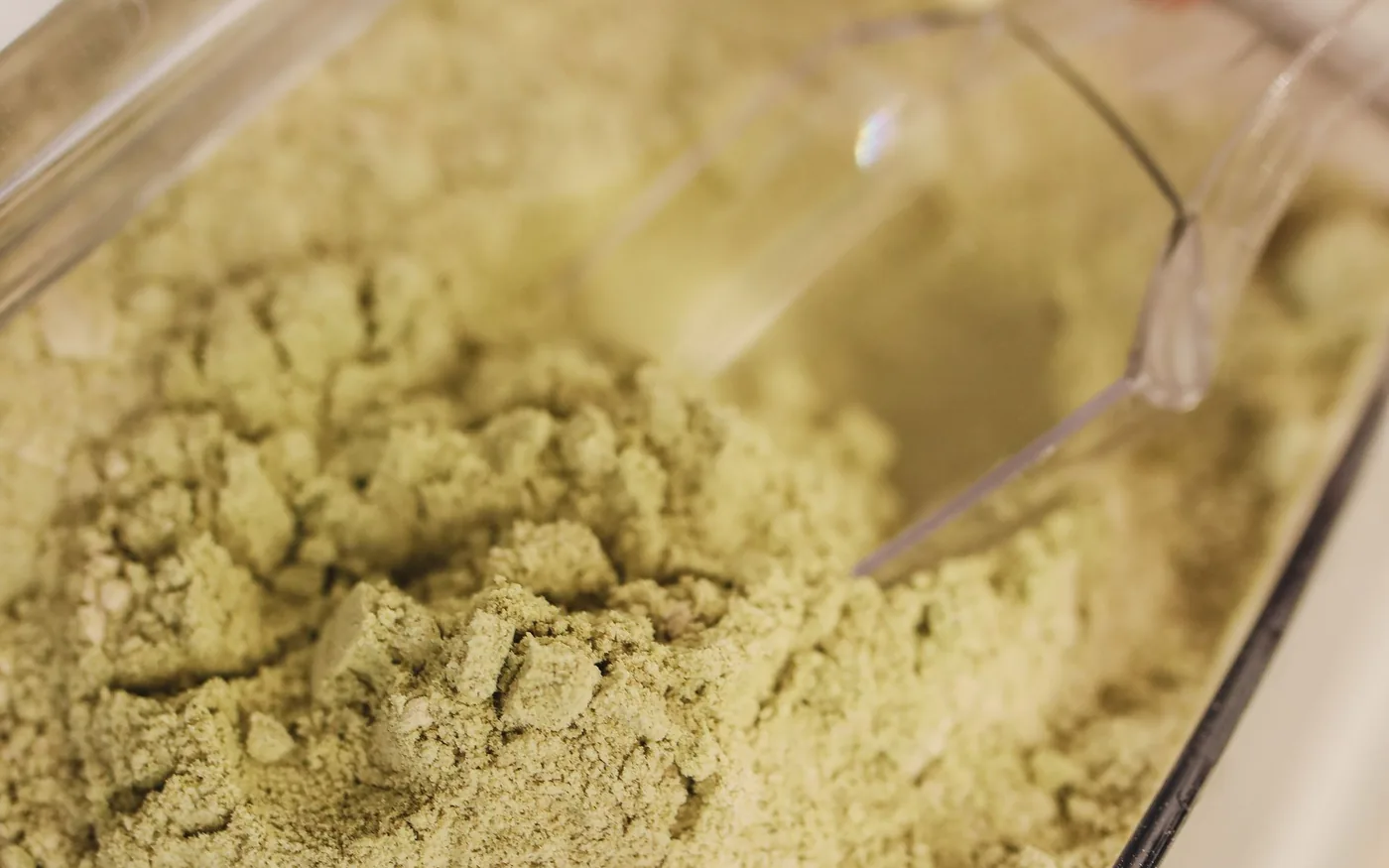 Matcha powder container