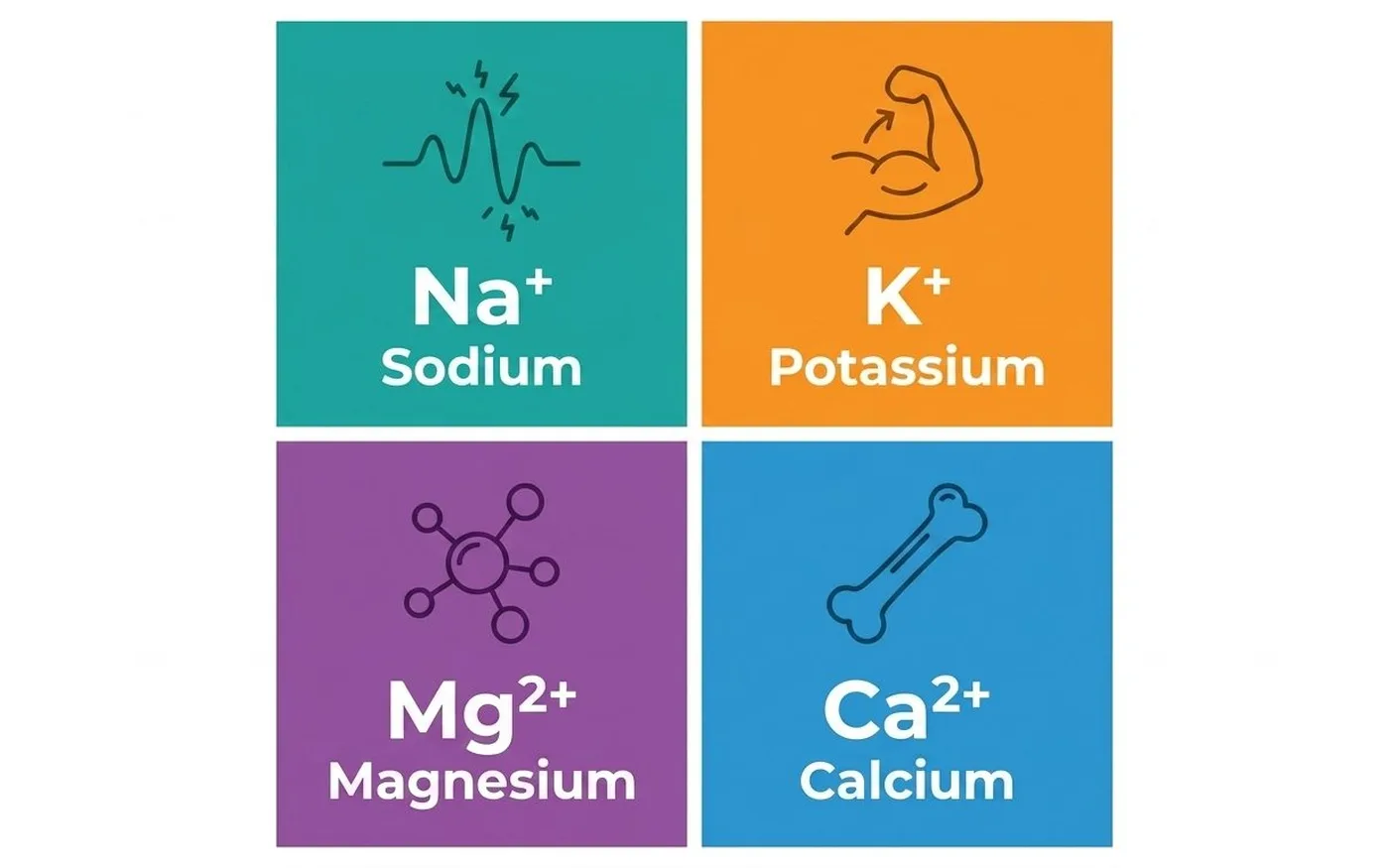electrolyte mineral breakdown
